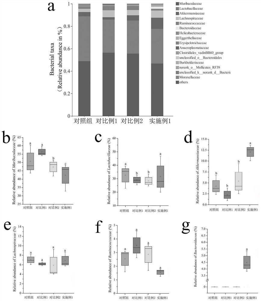 Preparation method of activity-enhanced edible fungus polysaccharide and application of activity-enhanced edible fungus polysaccharide in losing weight and increasing intestinal beneficial flora