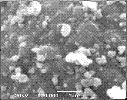 Preparation method for lithium iron phosphate materials with high tap density