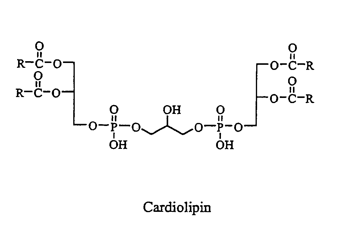 Cardiolipin compositions their methods of preparation and use
