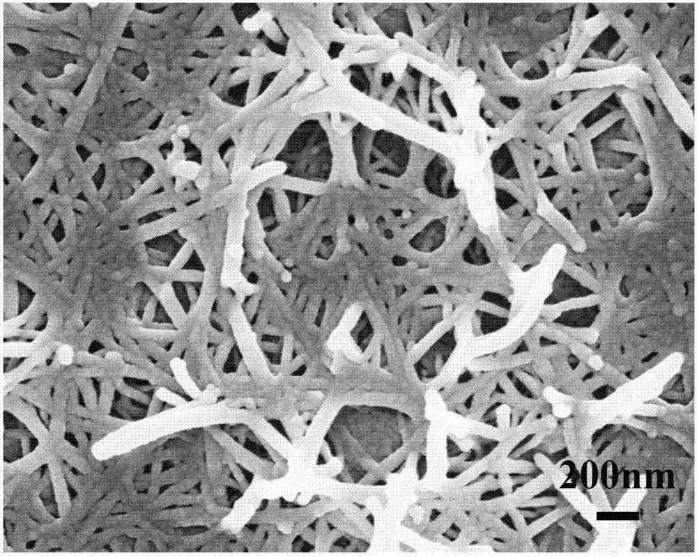 Preparation method for precious metal and transition metal nanowires and nano reticular material