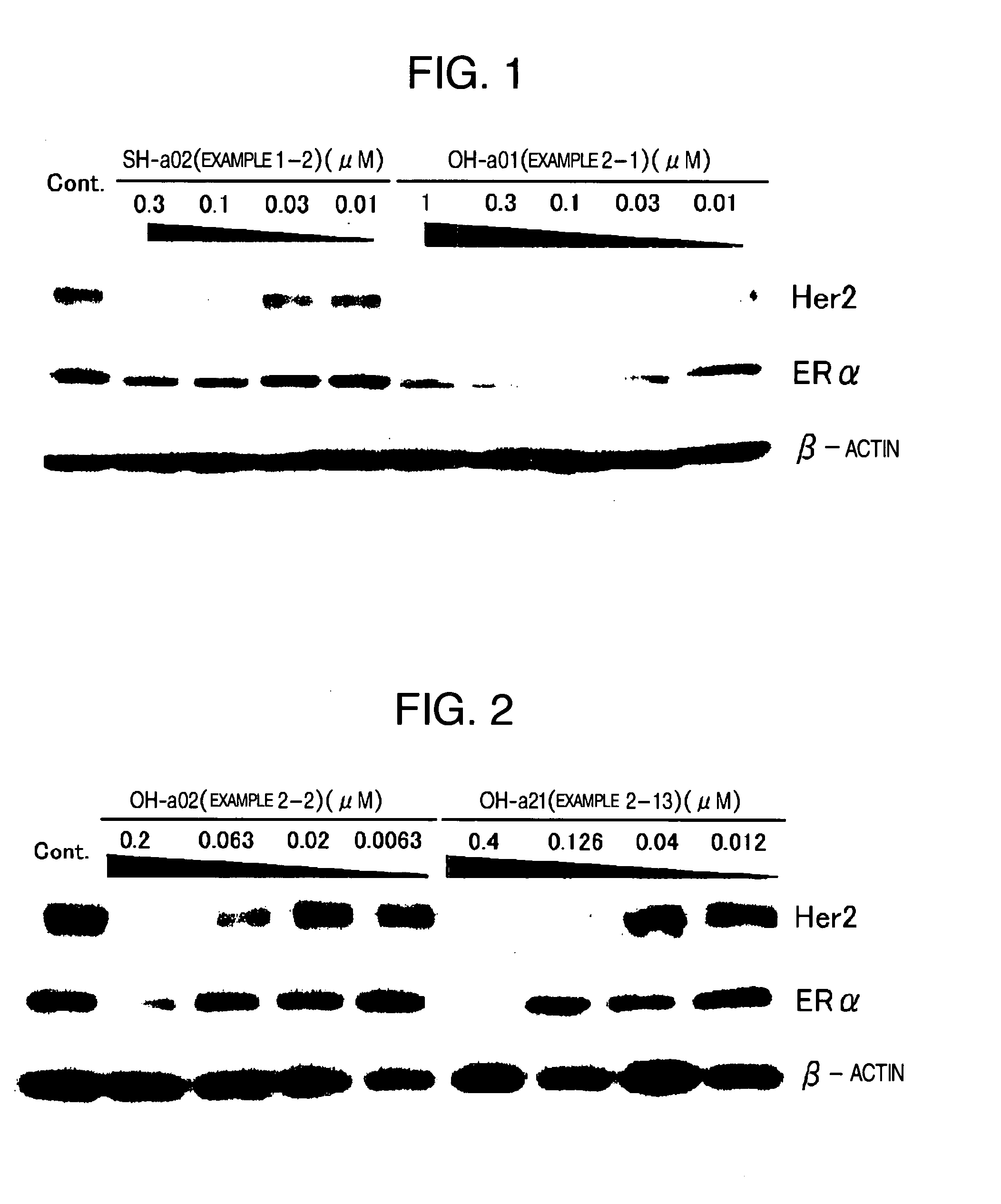 Novel Hsp90 Inhibitor