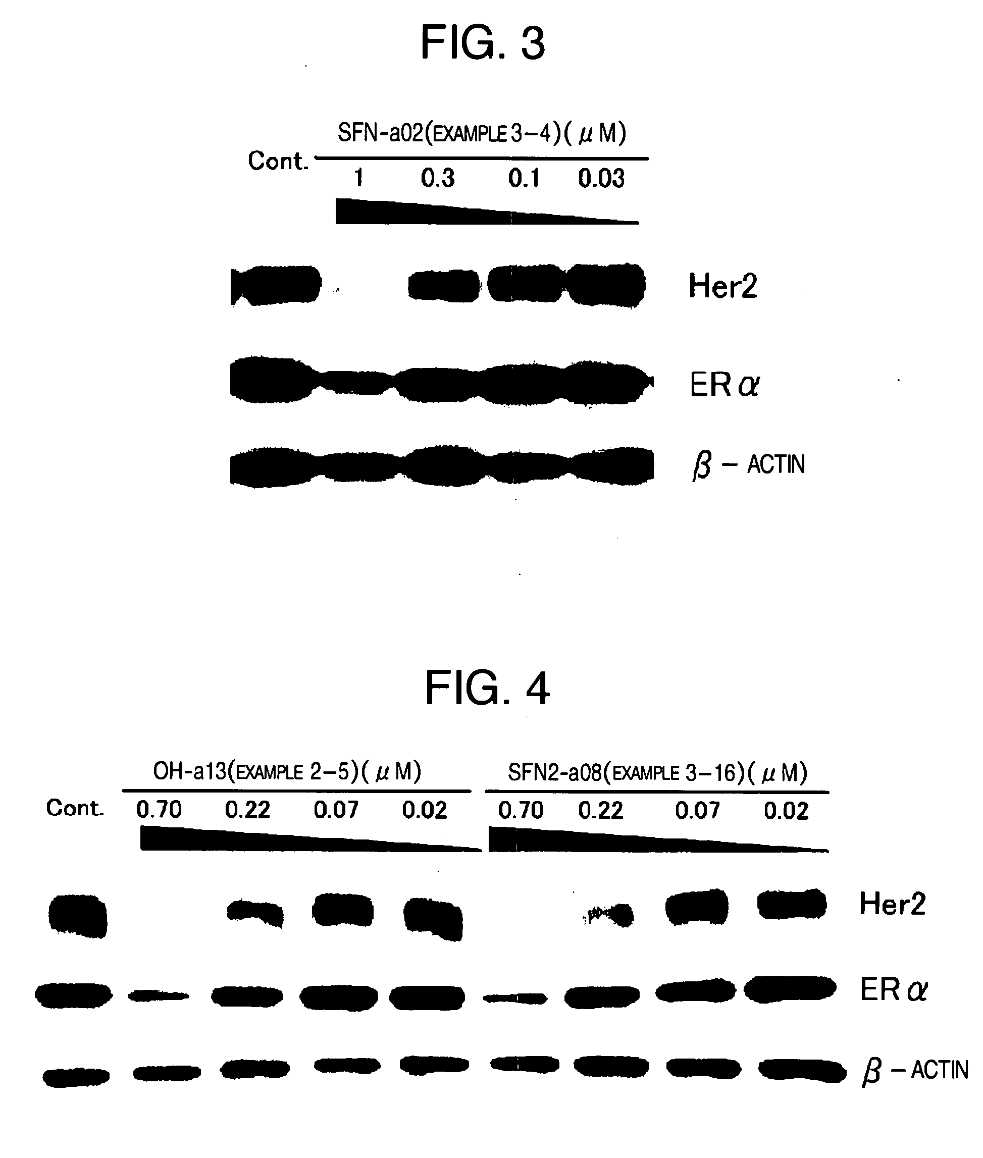 Novel Hsp90 Inhibitor