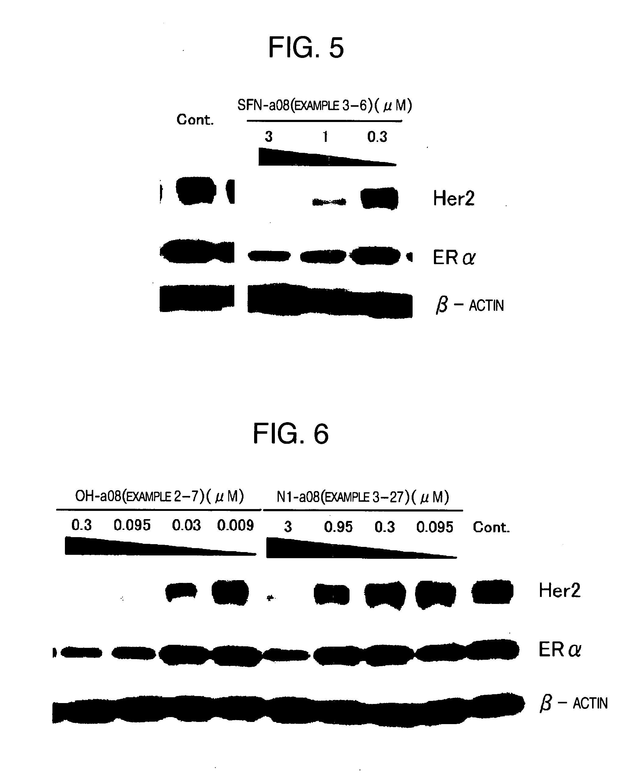 Novel Hsp90 Inhibitor