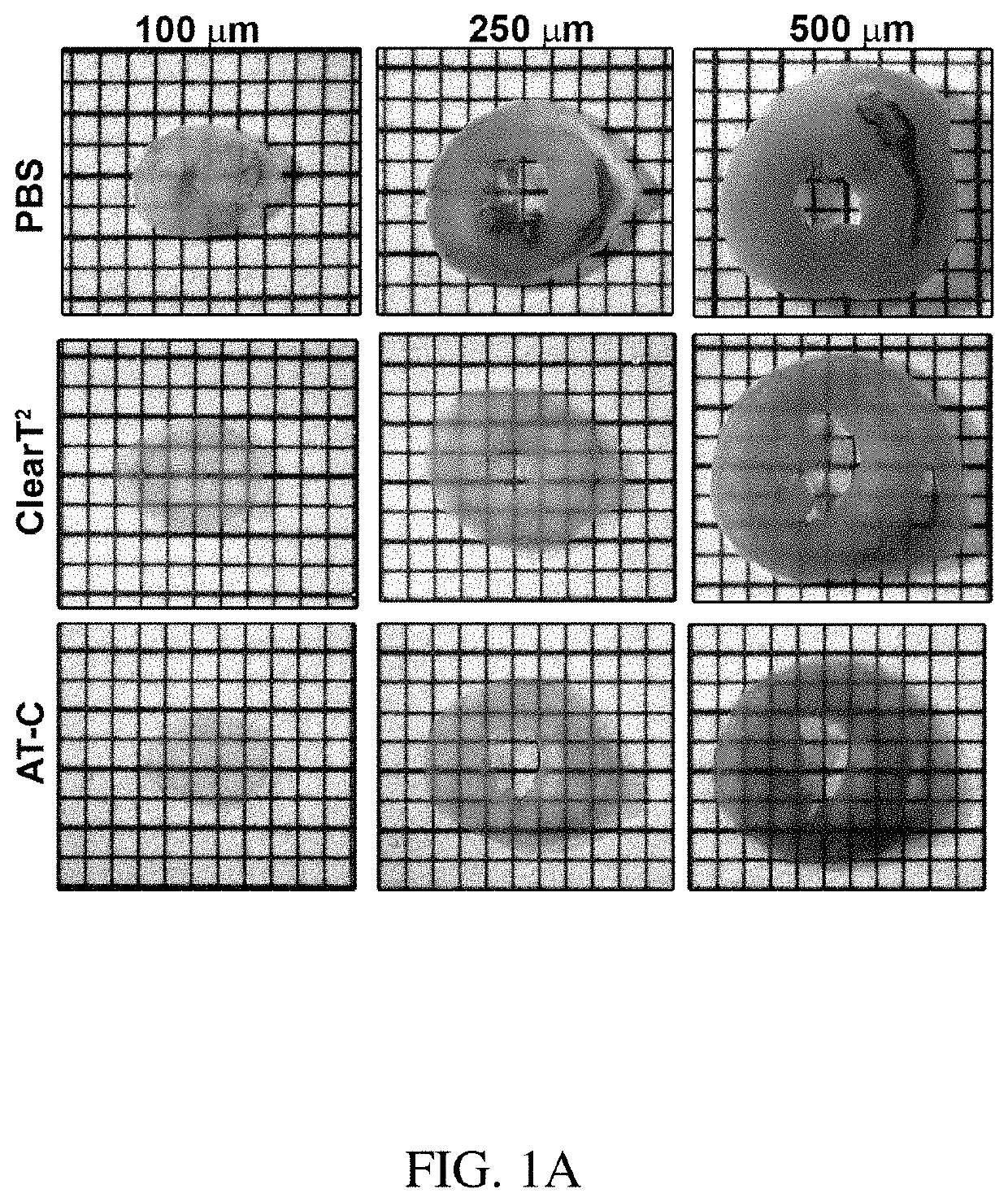 Optical clearing and auto-fluorescence quenching solutions and method of use for enhanced microscopy imaging of biological tissues