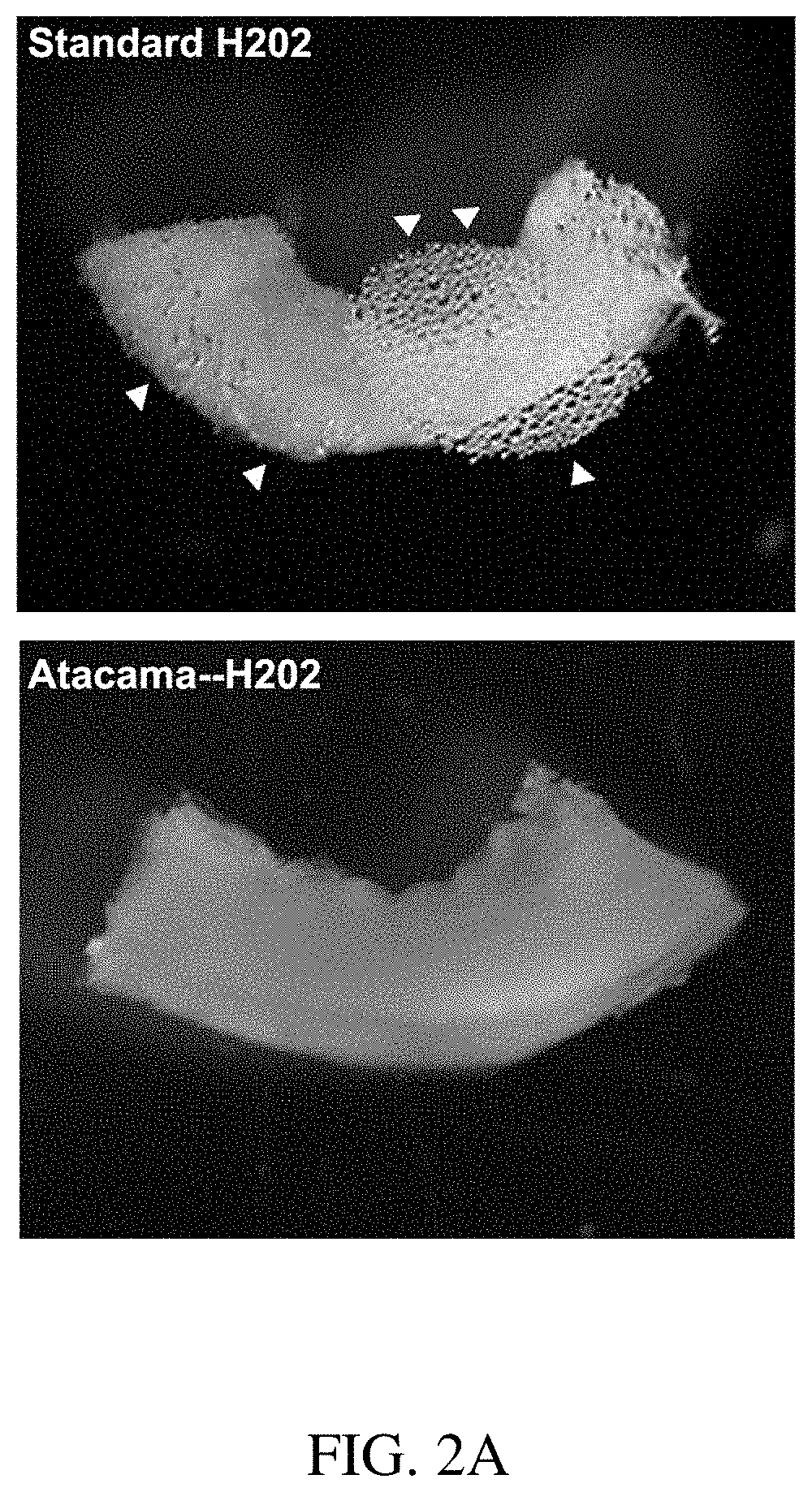 Optical clearing and auto-fluorescence quenching solutions and method of use for enhanced microscopy imaging of biological tissues