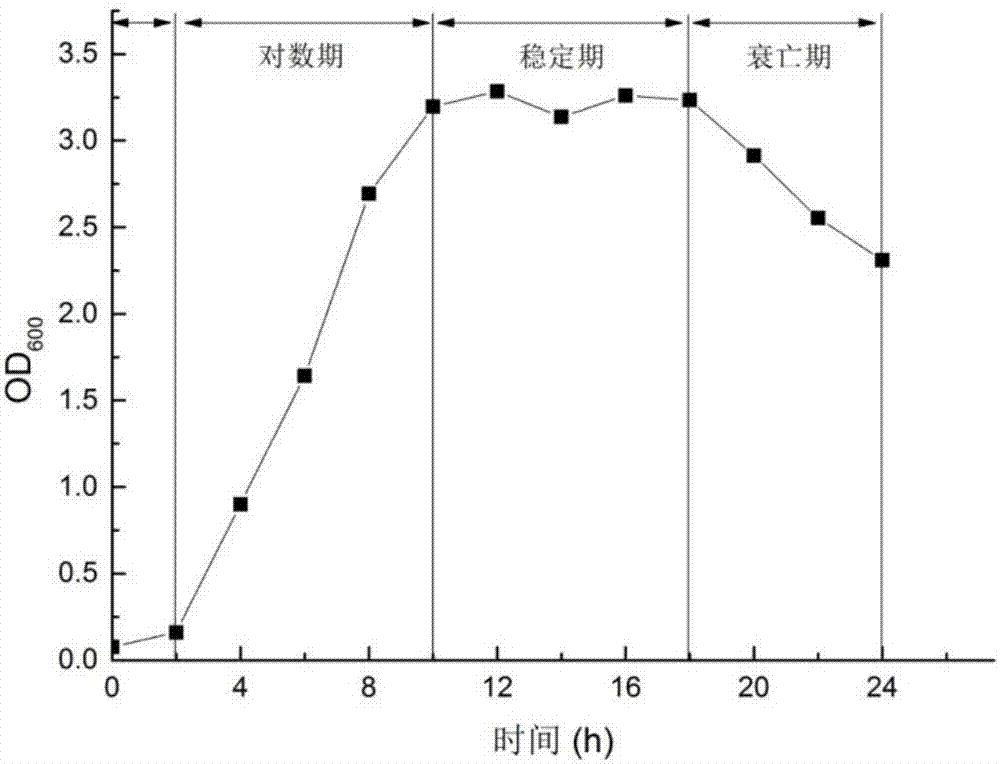 Bacillus amyloliquefaciens and application thereof in production of oligopeptides by feather degradation