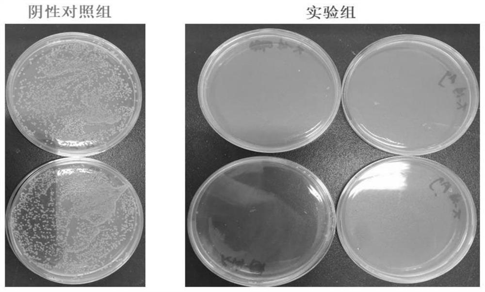 A kind of nano-disinfection coating for disinfection of livestock and poultry breeding places and its application