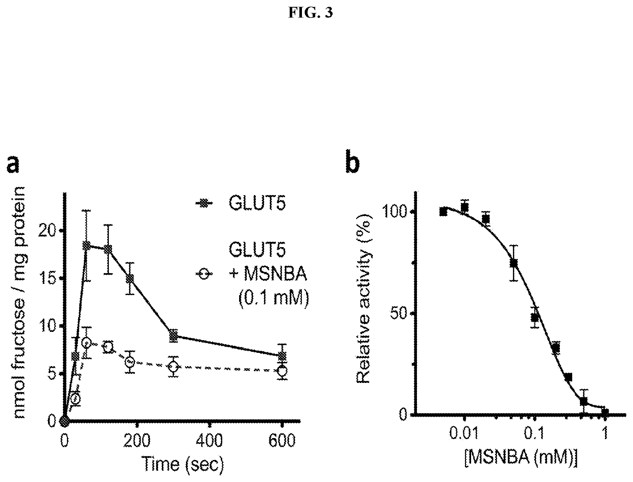 Human GLUT5 specific inhibitors and methods of treatment