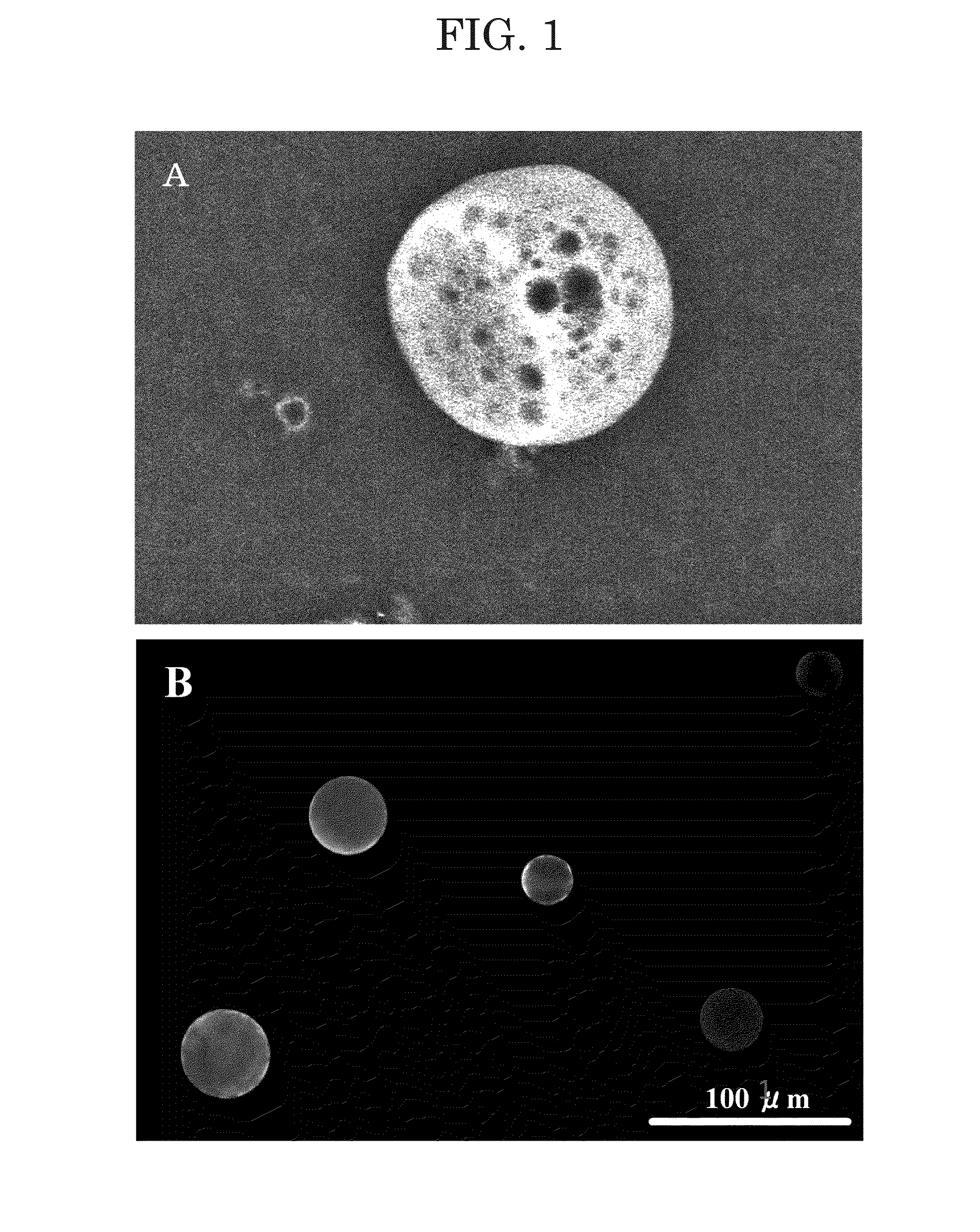 Composition for controlled release of physiologically active substance