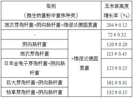 Special bioactive organic fertilizer for corn and application thereof