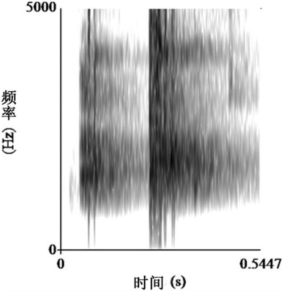 Method for testing acoustical communication capability of rana nigromaculata