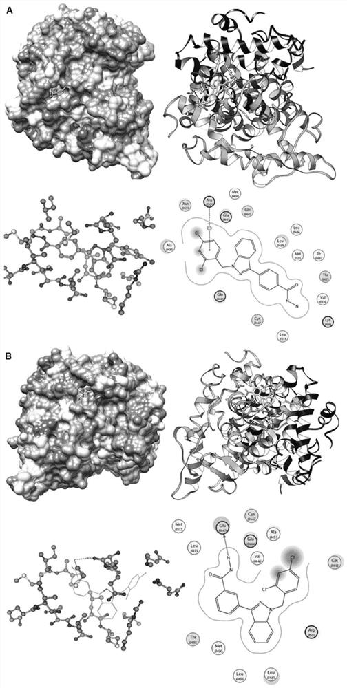 Synthesis method of novel estrogen receptor targeting inhibitor and application of novel estrogen receptor targeting inhibitor in breast cancer treatment