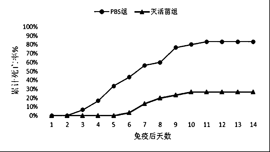 Preparation method of rainbow trout infectious haematopoietic necrosis virus (IHNV) inactivated vaccine and application thereof