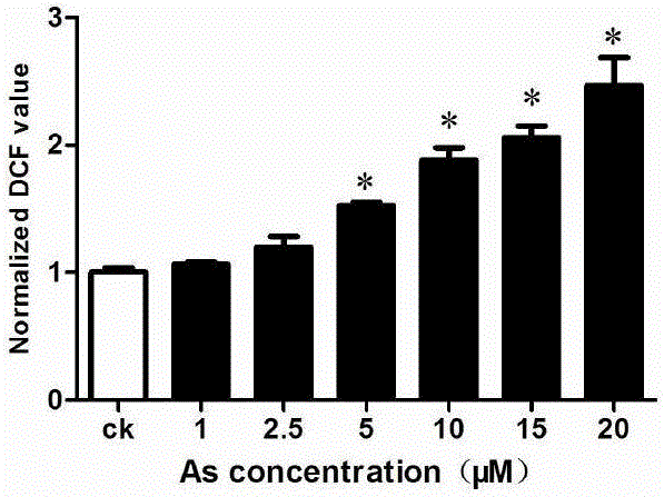 Method of using Hoechst 33258 fluorescent dye to detect content of active oxygen in living cells