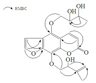 Angelica oncosepala linear furocoumarins compound and application thereof