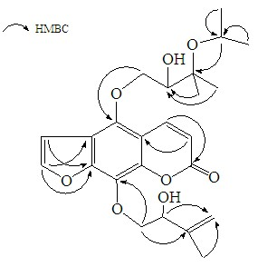 Angelica oncosepala linear furocoumarins compound and application thereof