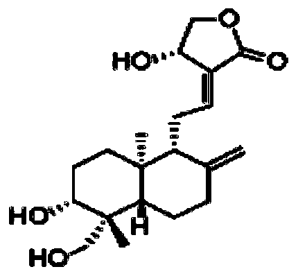 A core-shell alginate/polyacrylamide microsphere loaded with andrographolide and its preparation method and application