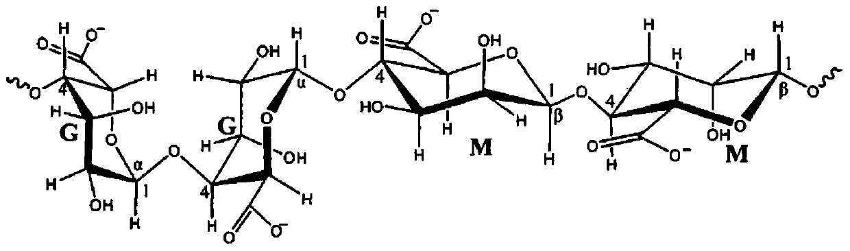 A core-shell alginate/polyacrylamide microsphere loaded with andrographolide and its preparation method and application