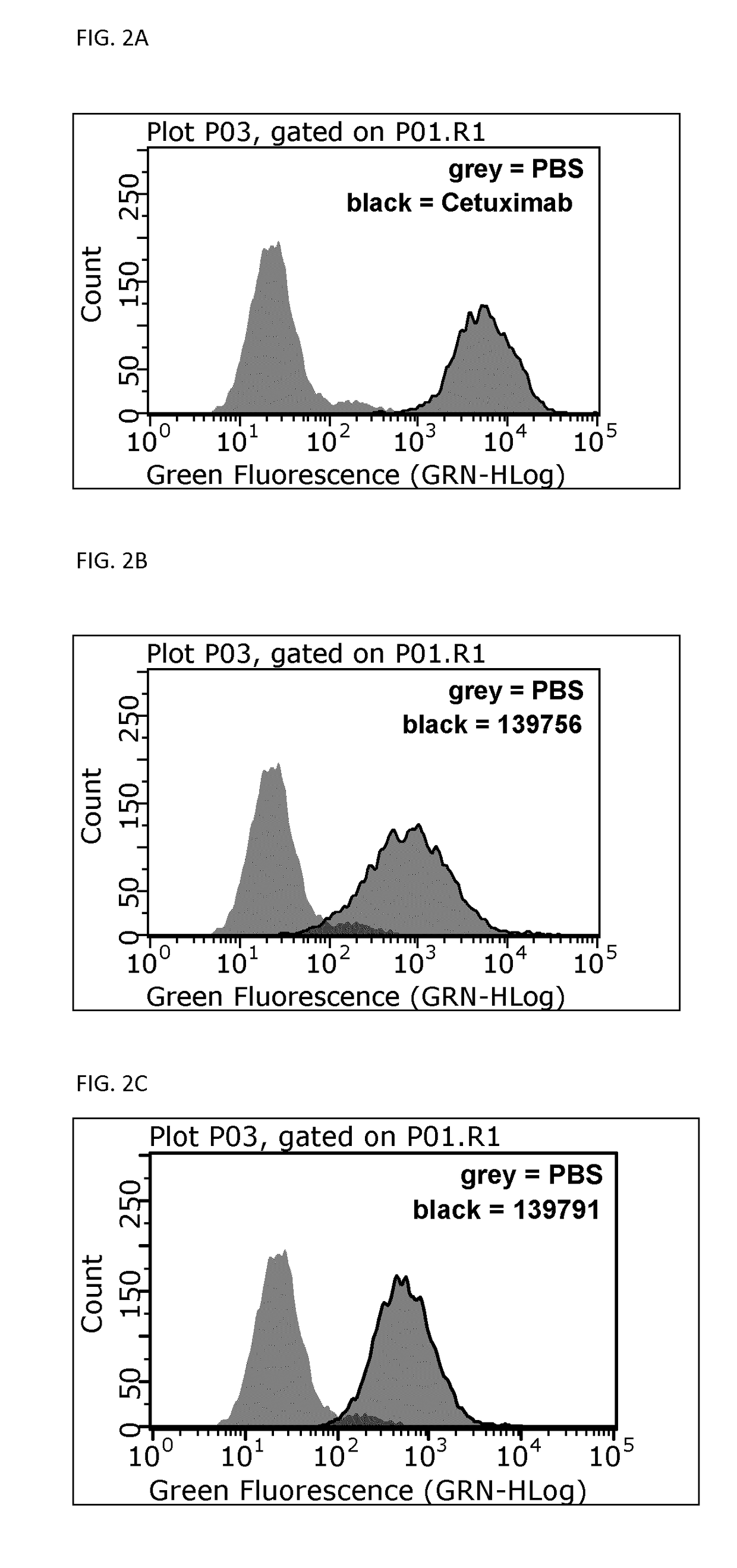 Novel EGFR binding proteins