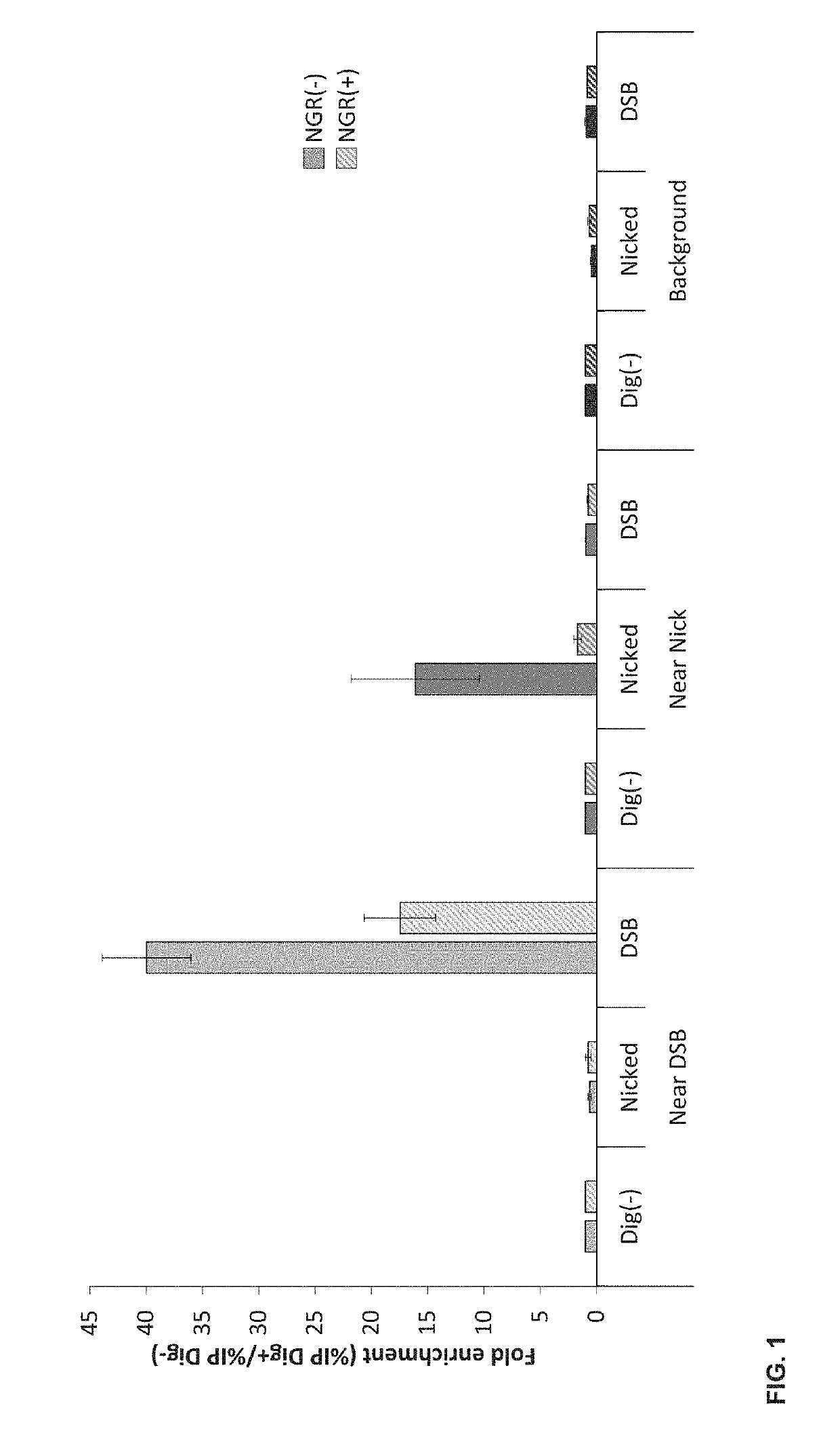 Double-strand DNA break quantification method