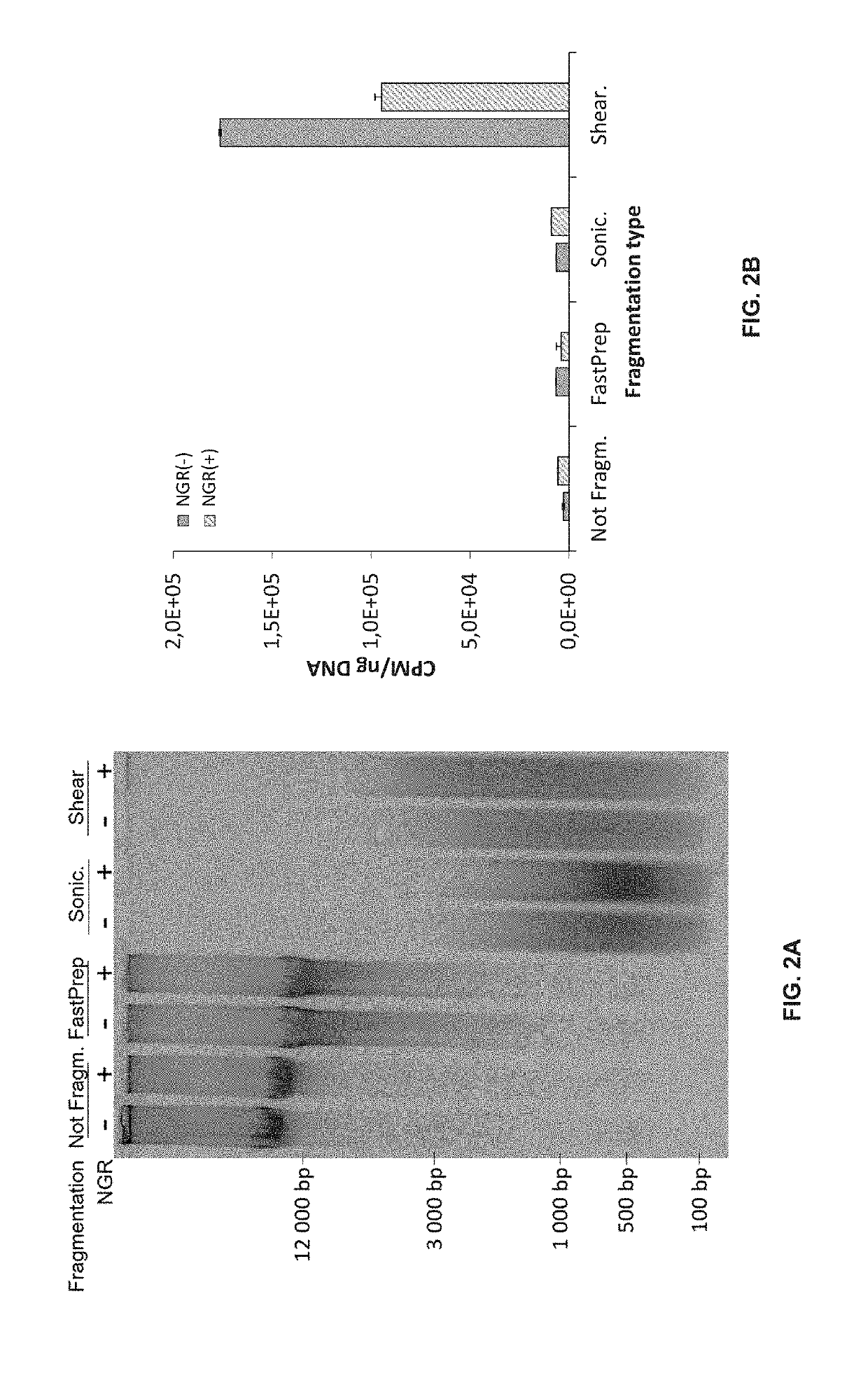 Double-strand DNA break quantification method