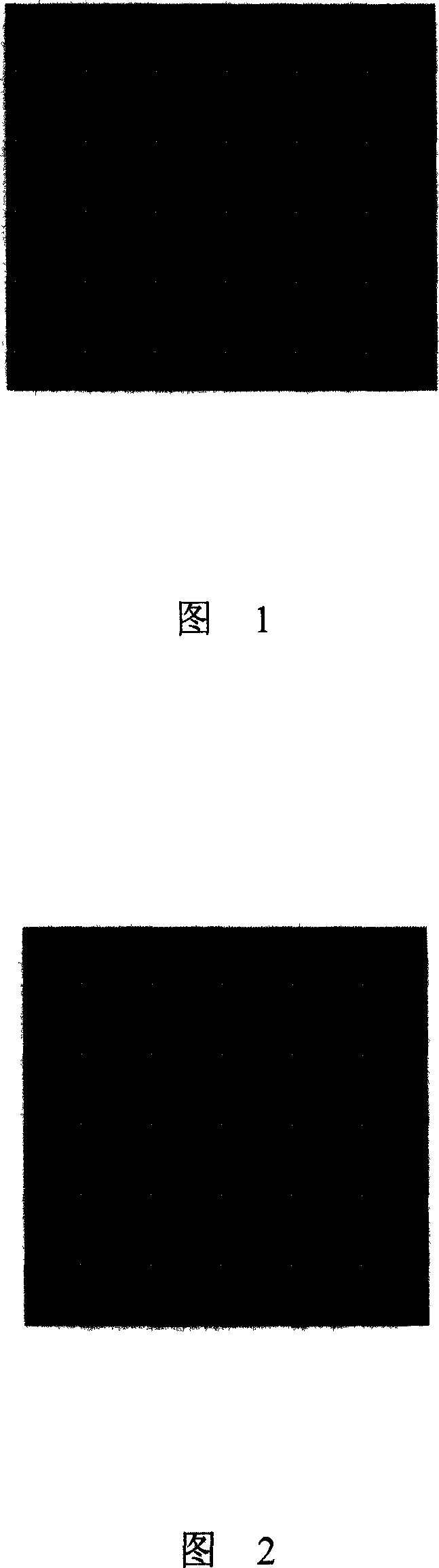 Method for producing high-temperature alpha-amylase by thermococcaceae aeropyrum pernix and product thereof