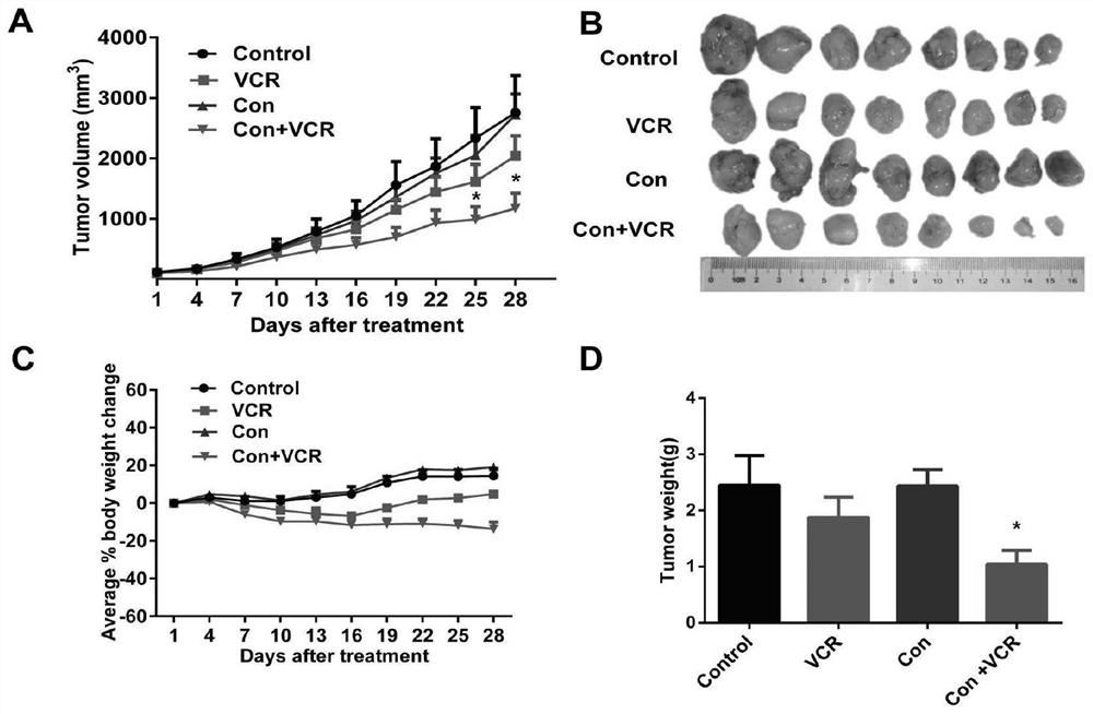 Application of a macrolide compound in reversing tumor multidrug resistance and enhancing antitumor efficacy