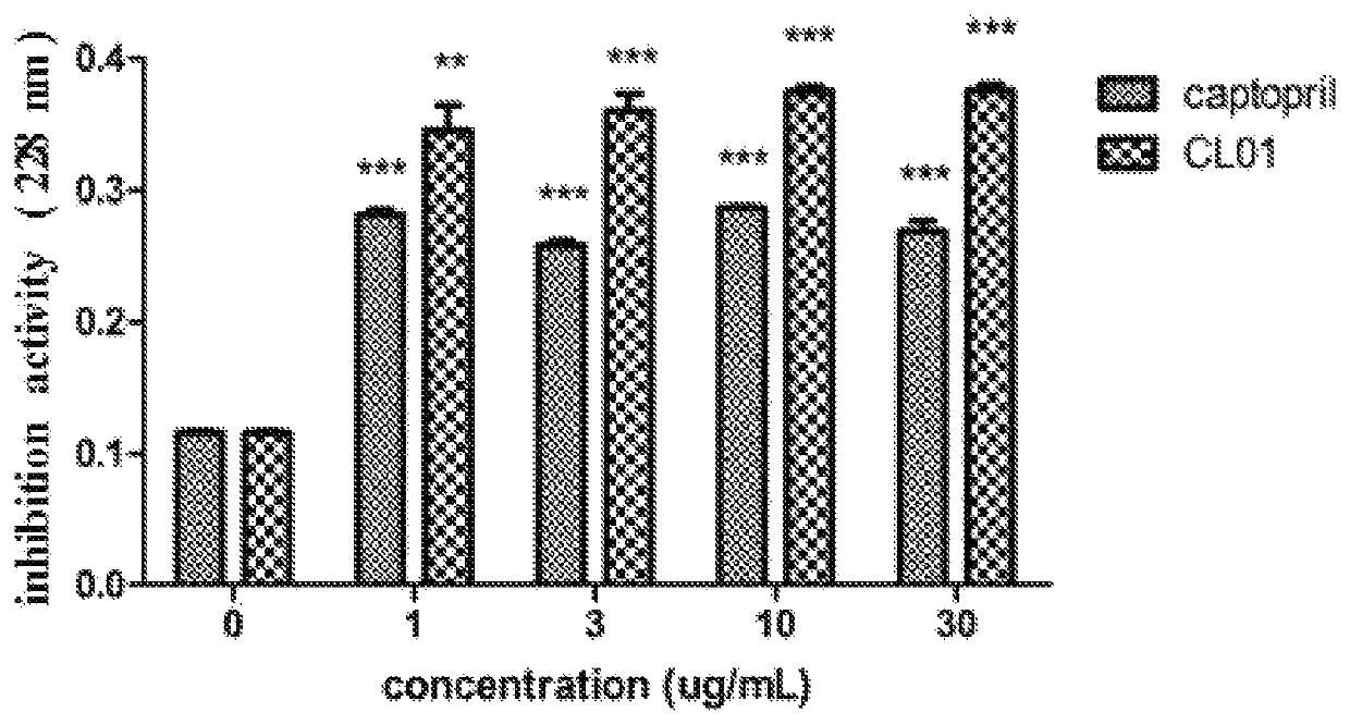 Blood pressure lowering composition containing as active ingredient exopolysaccharide produced by means of <i>ceriporia lacerata</i>