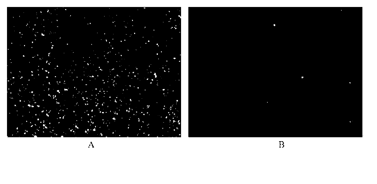 High-water content wax-containing crude oil flowing improver