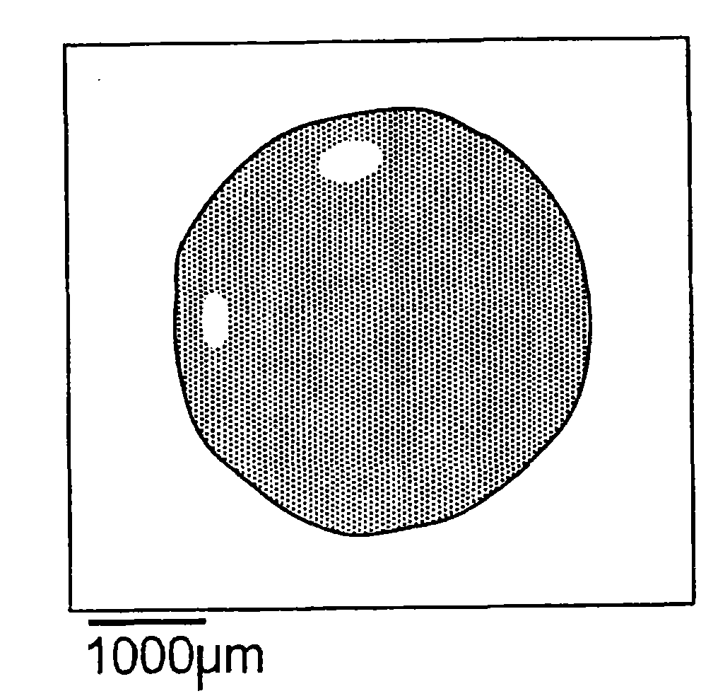 Articles comprising wettable structured surfaces