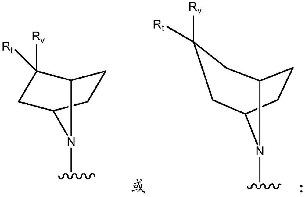 Proteasome activity enhancing compounds