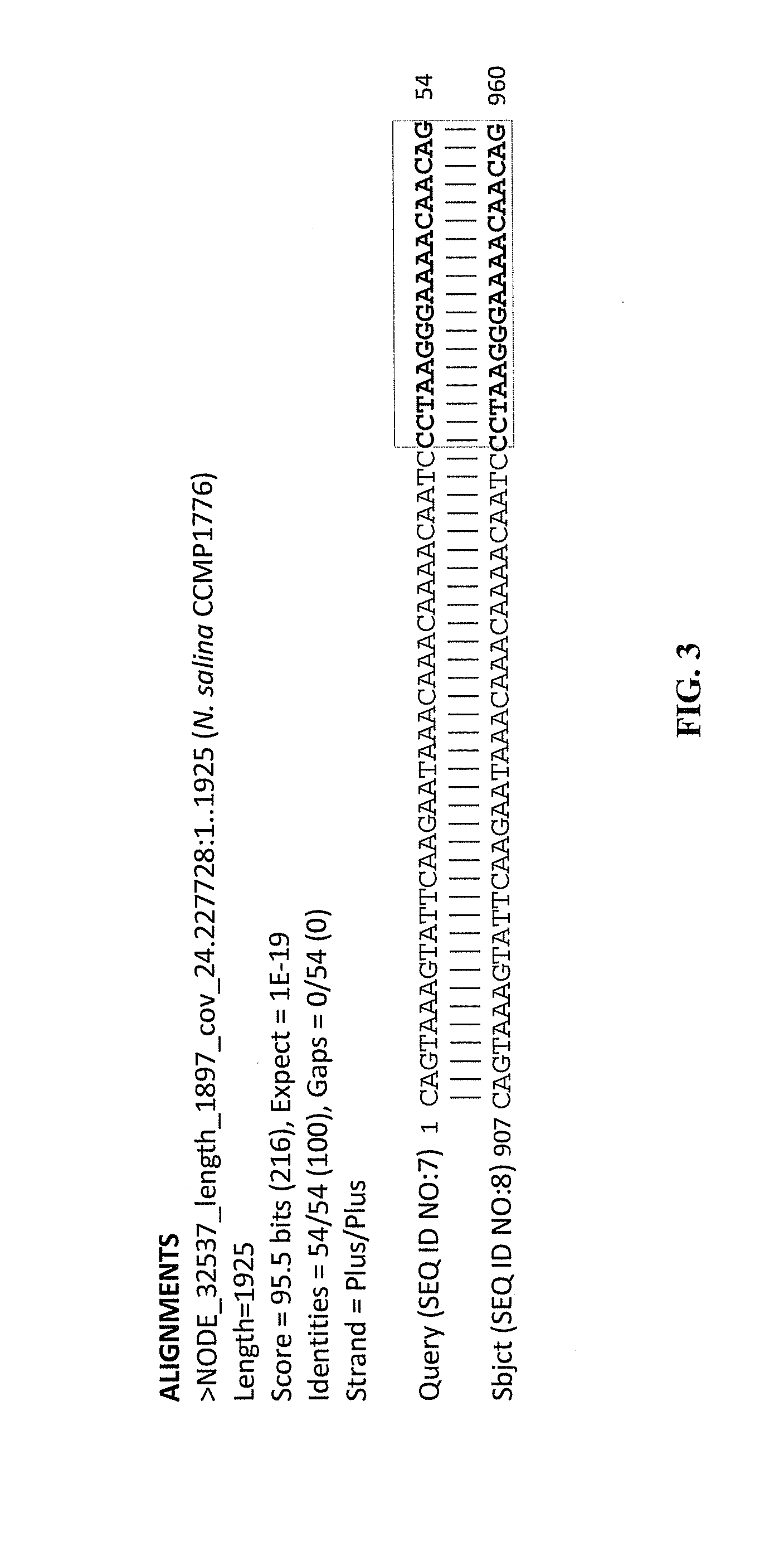 Nannochloropsis spliced leader sequences and uses therefor