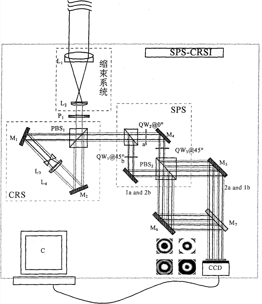 Common-path radial shear interferometer based on four-step spatial digital phase-shift