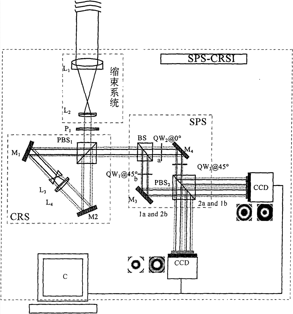 Common-path radial shear interferometer based on four-step spatial digital phase-shift