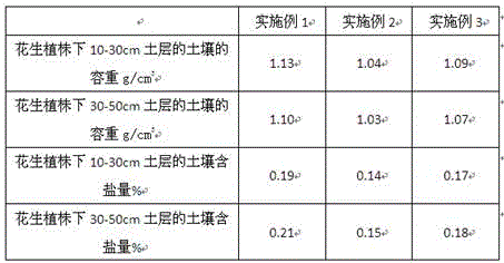 Root salt control method for interplanting of peanuts and kochia scoparia in saline-alkali land