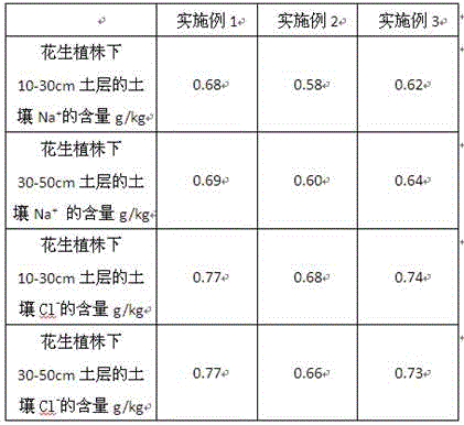 Root salt control method for interplanting of peanuts and kochia scoparia in saline-alkali land