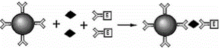 A high-throughput combined detection reagent for hepatitis C virus antigen antibody