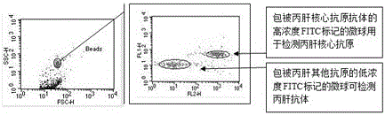 A high-throughput combined detection reagent for hepatitis C virus antigen antibody