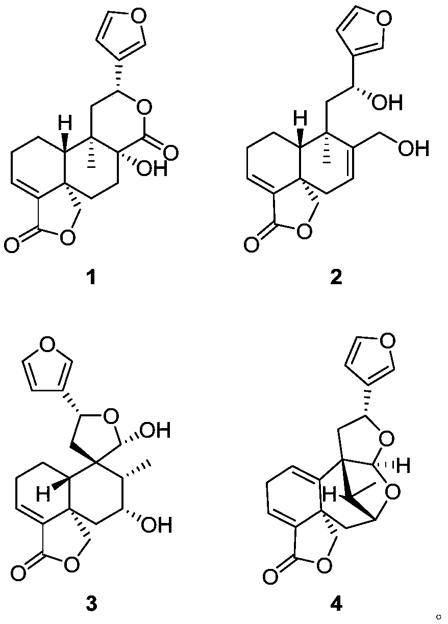 Clerodane diterpenoid compounds and application thereof in pharmacy