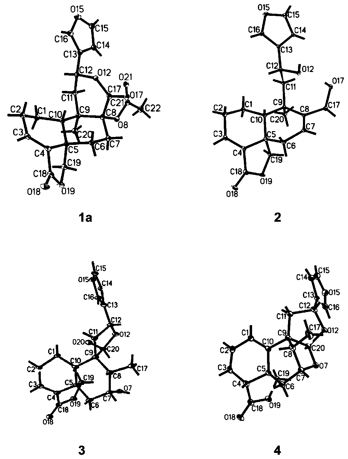 Clerodane diterpenoid compounds and application thereof in pharmacy