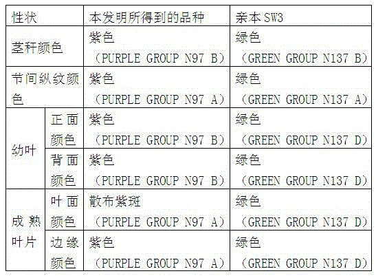 Dendrobe breeding method