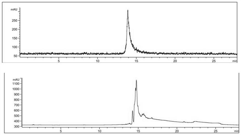 Targeting PD-L1 polypeptide probe and application thereof in preparation of PET imaging agent