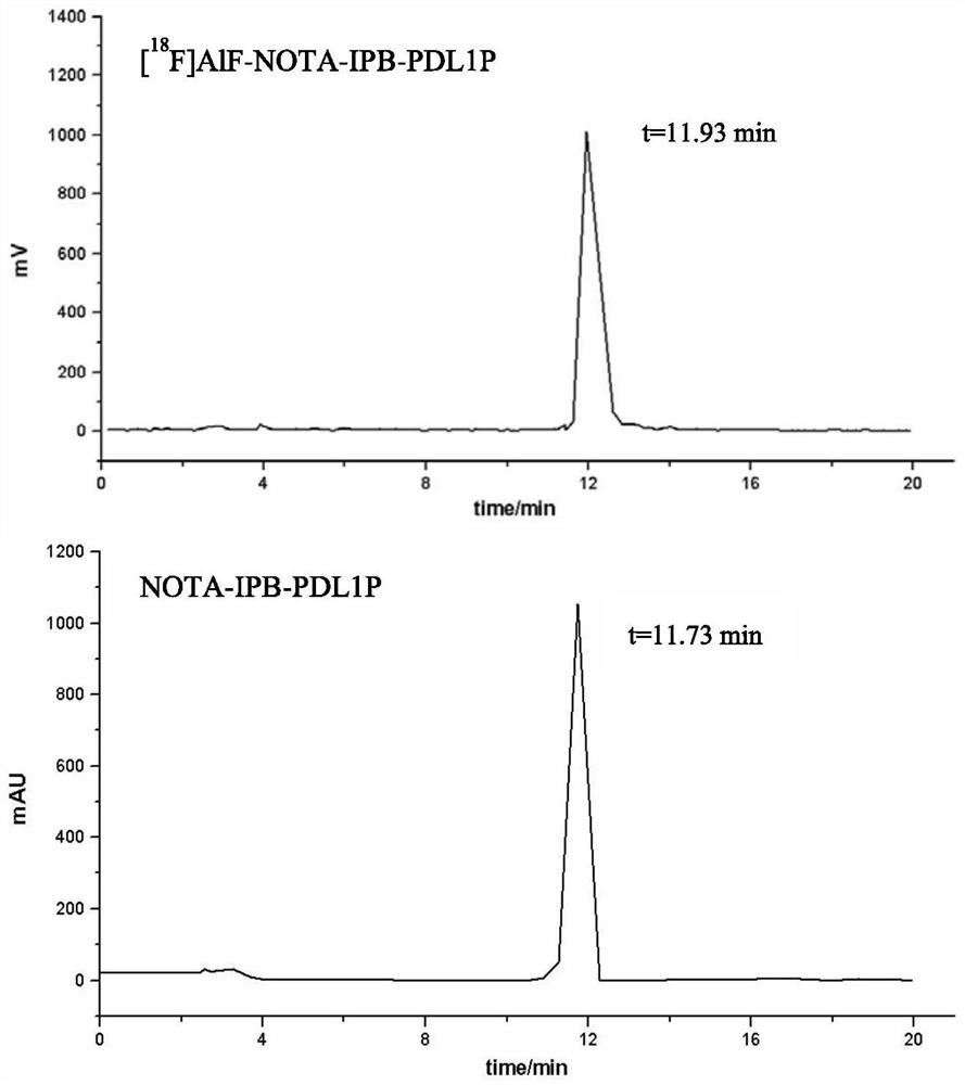 Targeting PD-L1 polypeptide probe and application thereof in preparation of PET imaging agent