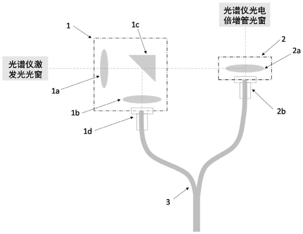 Method for noninvasive detection of amino acid content of skin and appendage organs thereof and application thereof