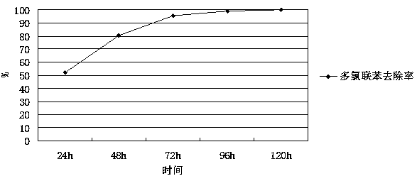 A method for joint treatment of polychlorinated biphenyl contaminated soil by using microorganisms and minerals