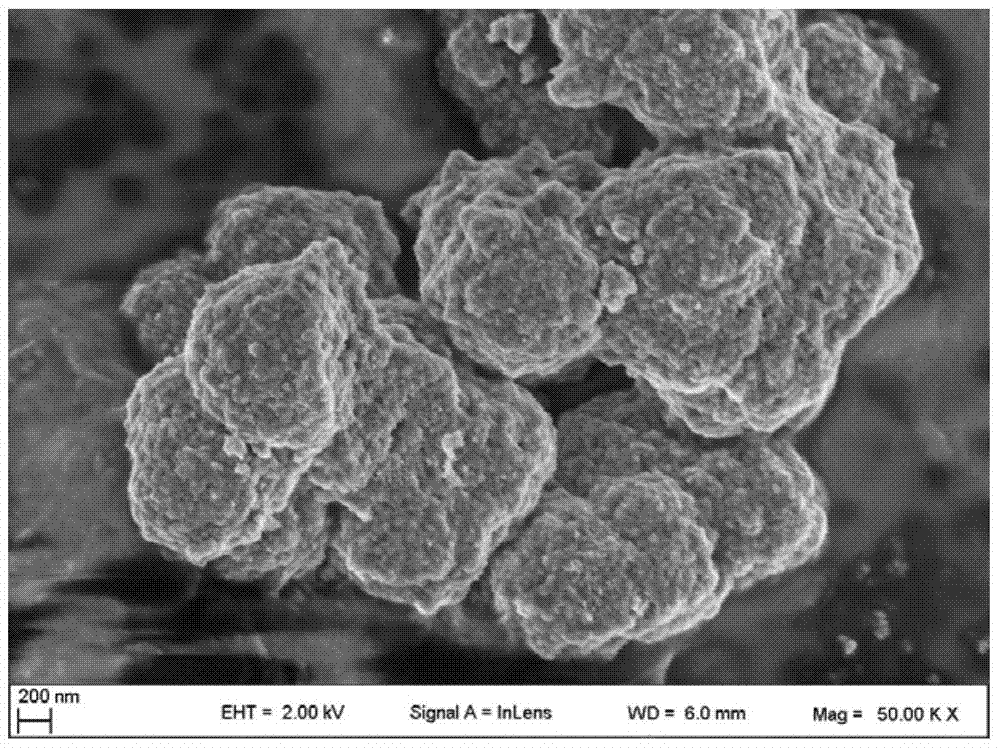 a kind of wo  <sub>3</sub> /tiof  <sub>2</sub> Preparation method of composite visible light catalyst