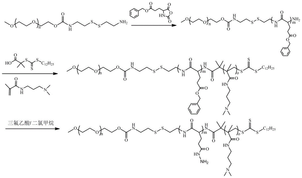 Mpeg-poly(l-glutamic acid-γ-hydrazide)-pdmapma triblock copolymer and its synthesis method and application
