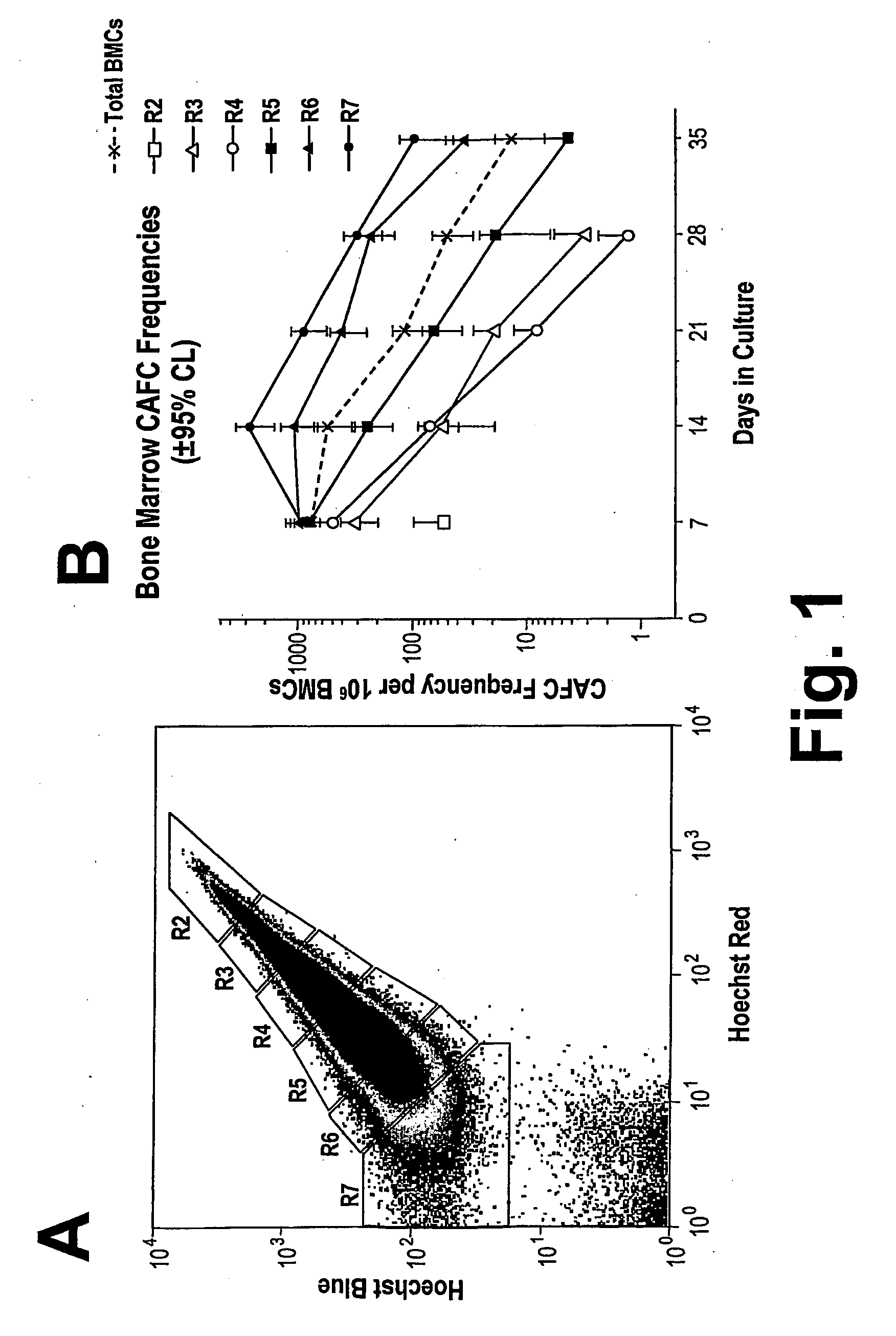 Method for Selectively Depleting Hypoxic Cells