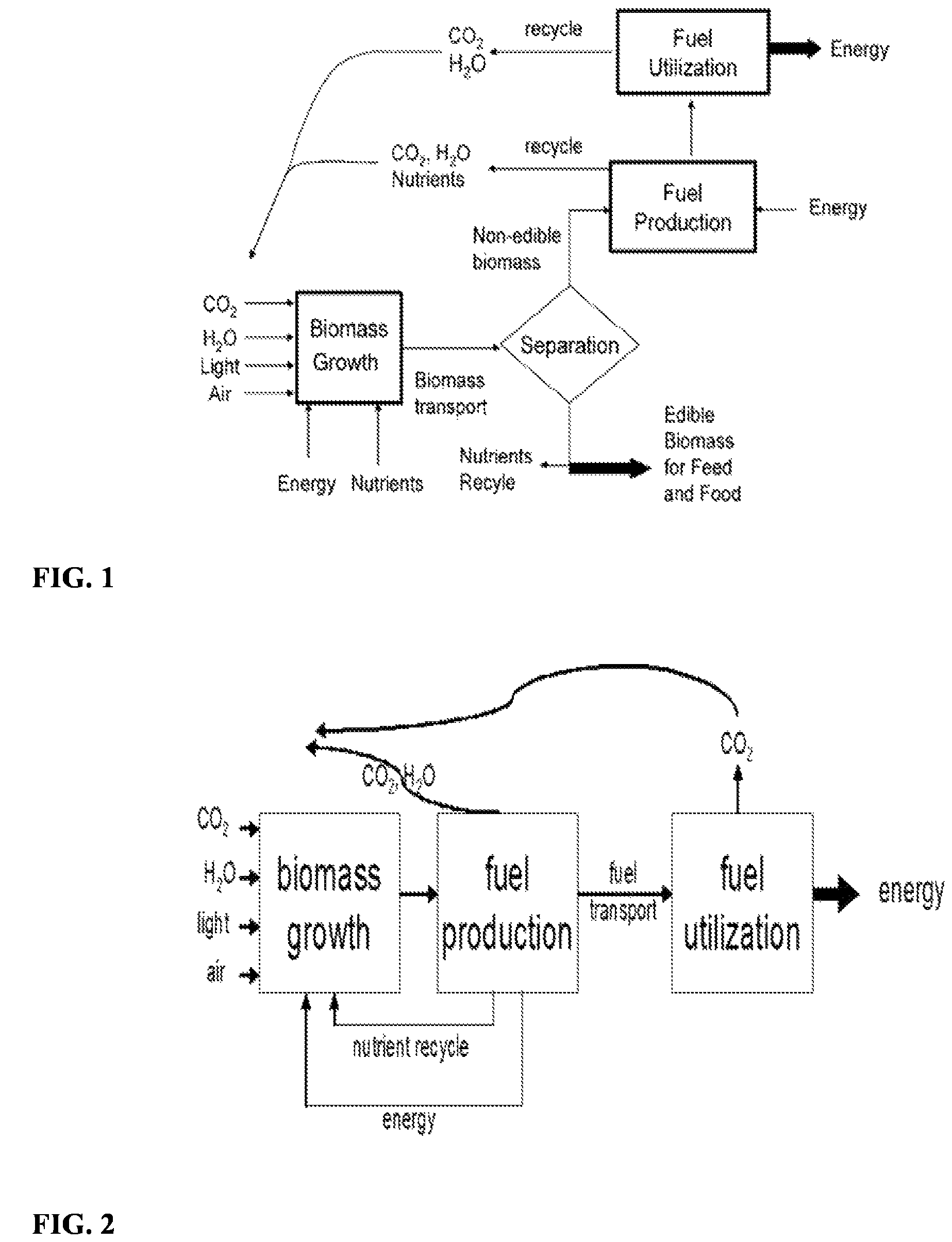 Process for direct conversion of biomass to liquid fuels and chemicals