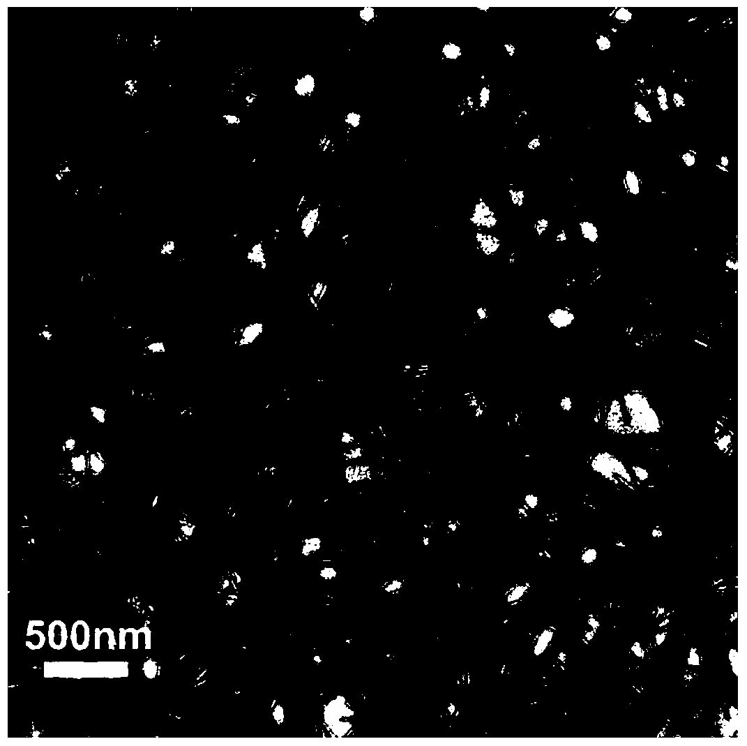 Preparation method of a surface-functionalized tobacco mosaic virus nanowire composite material